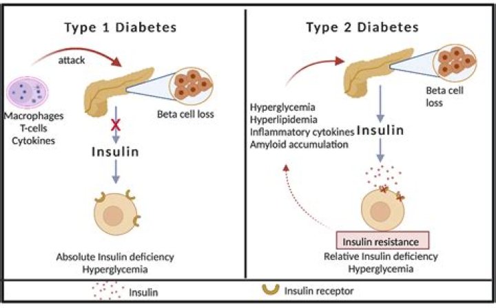 Can aromatase inhibitors cause diabetes?