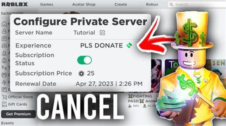 Can blizzard shut down private servers?