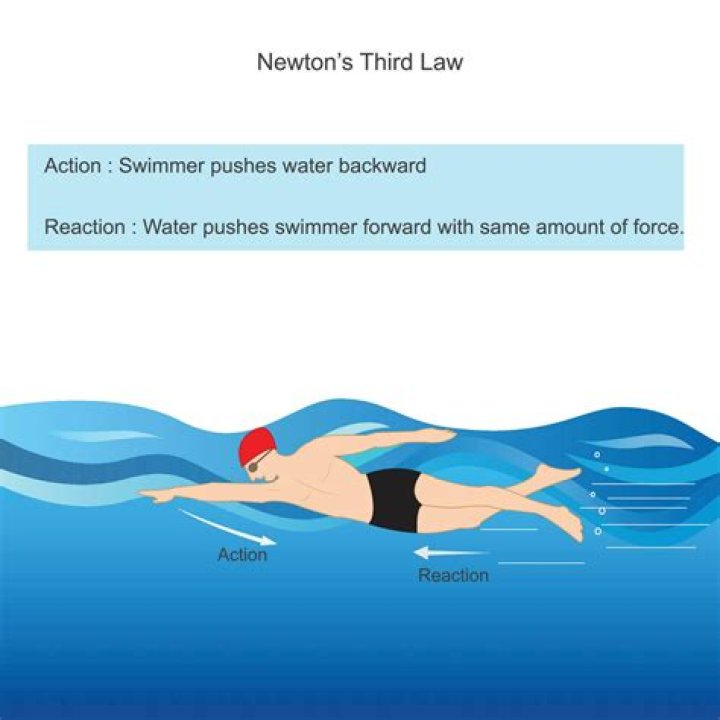 Do dogs lap water backwards?