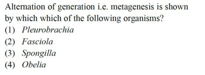 Does aurelia show metagenesis?