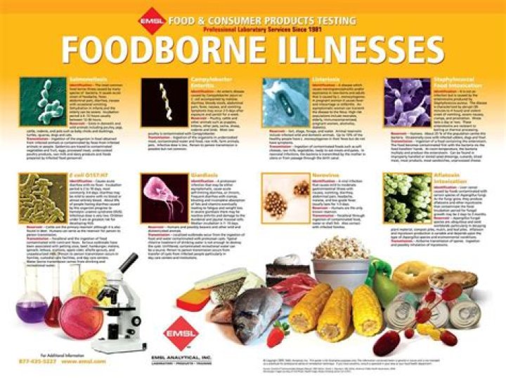 Does botanical cause foodborne illness?