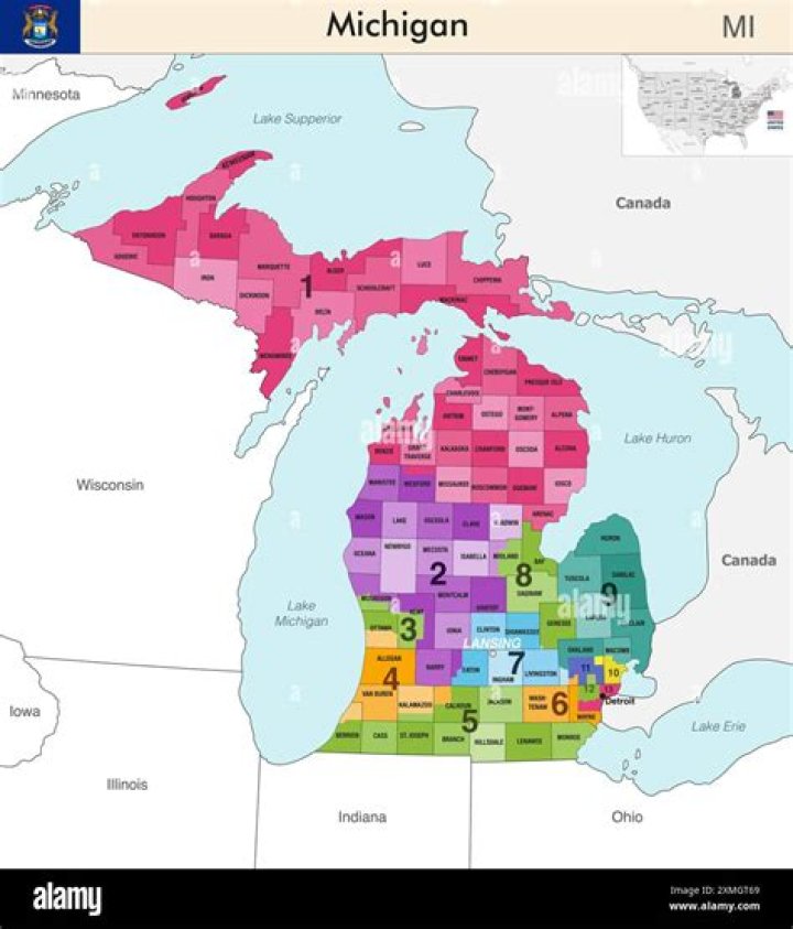 What county is comins michigan in?