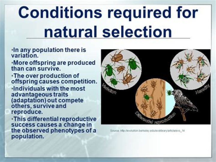 Which conditions promote esd?